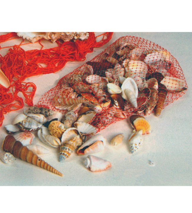 Bag of Assorted Sea Shells 2.2 Lbs.